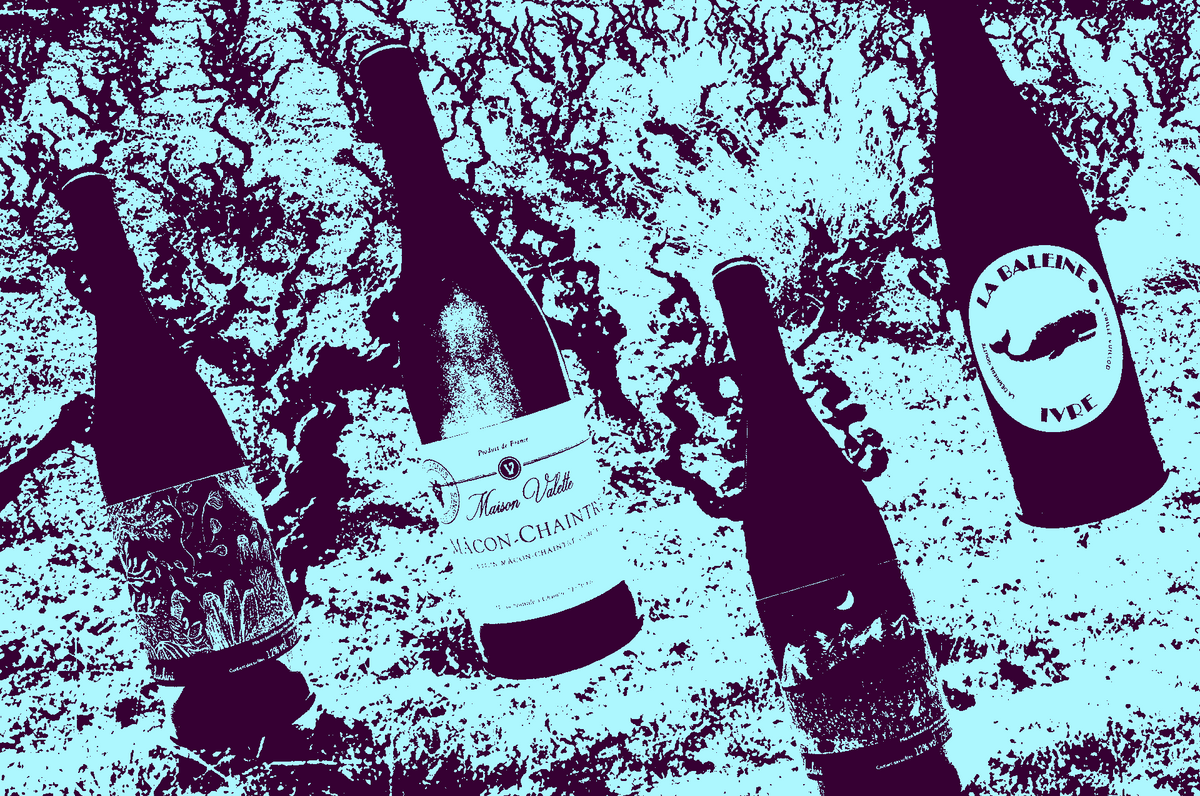 What to drink in January — Highbury Library