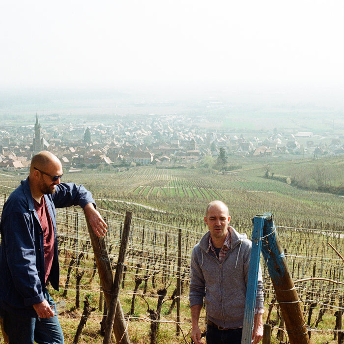 New arrivals from Domaine Schaeffer Woerly in Alsace