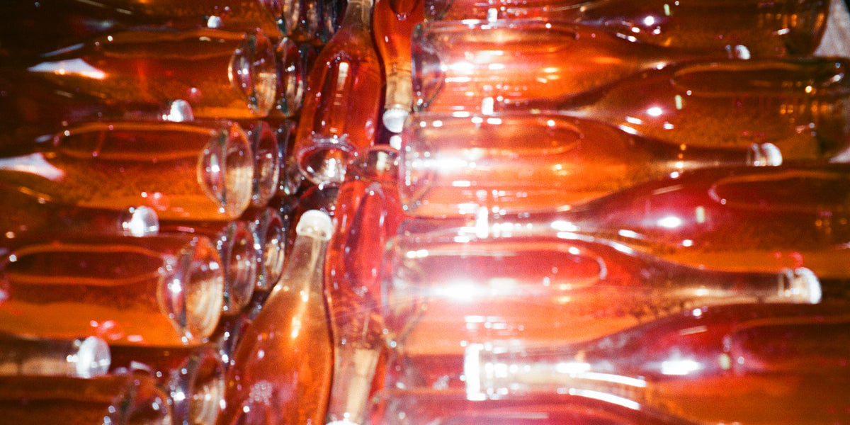 Highlights from La Dive 2023 — Highbury Library