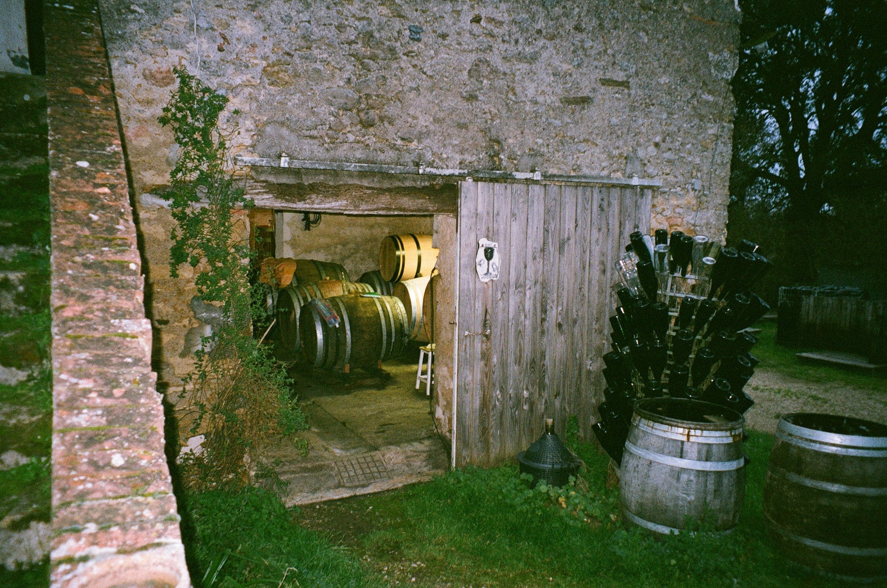Our Loire Love-In Continues: New Arrivals from Philippe Delmée