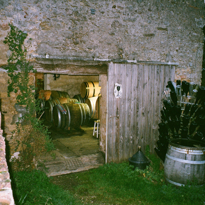 Our Loire Love-In Continues: New Arrivals from Philippe Delmée