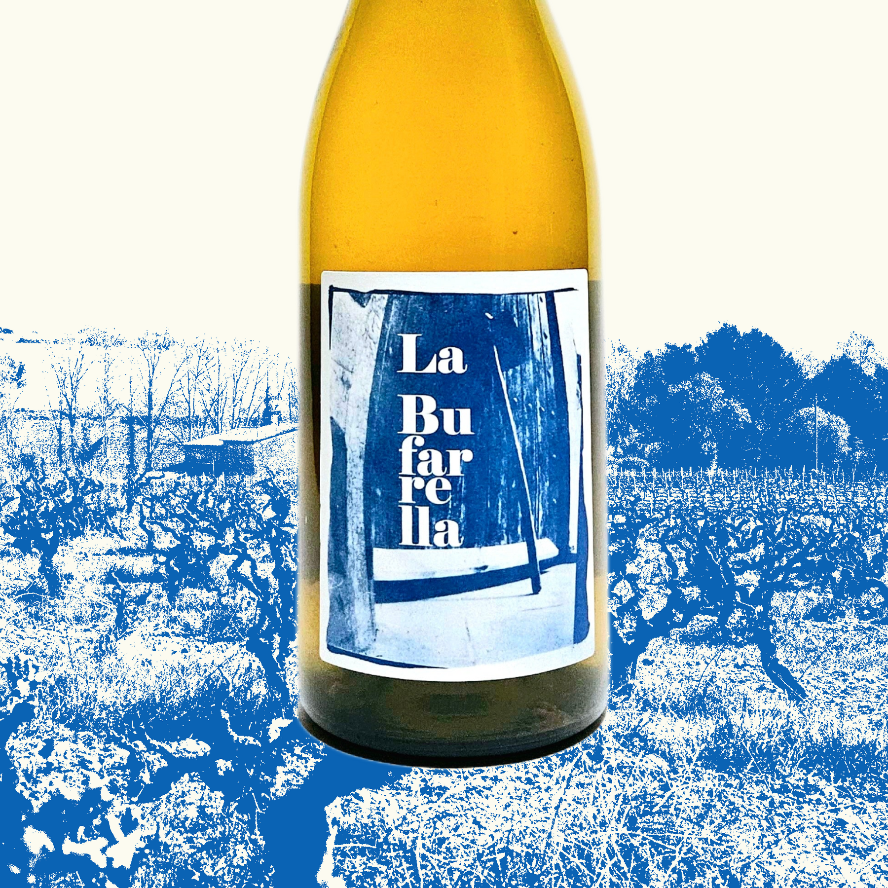 The Return of La Bufarrella