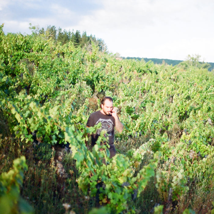 Bodega La Senda