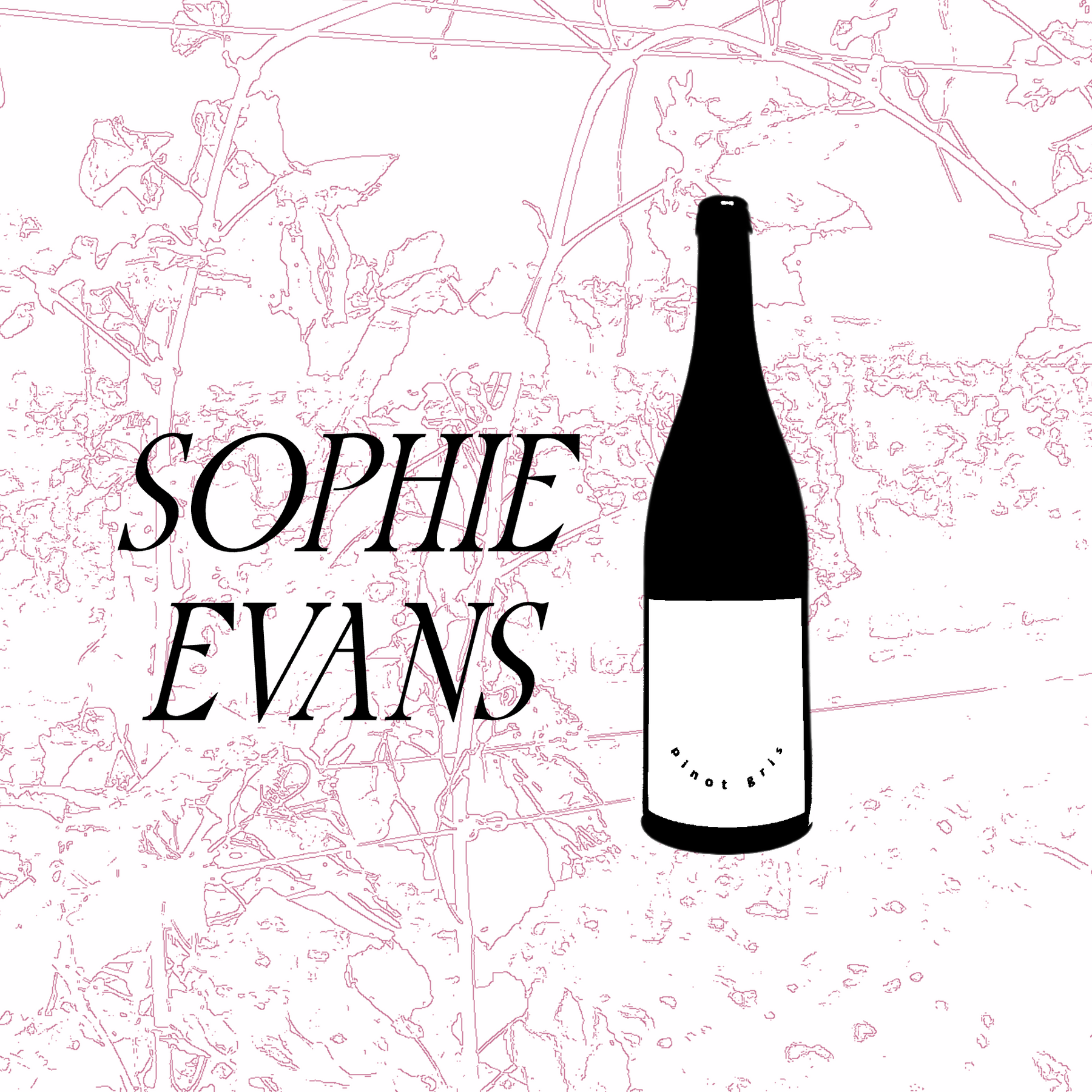 Sophie Evans