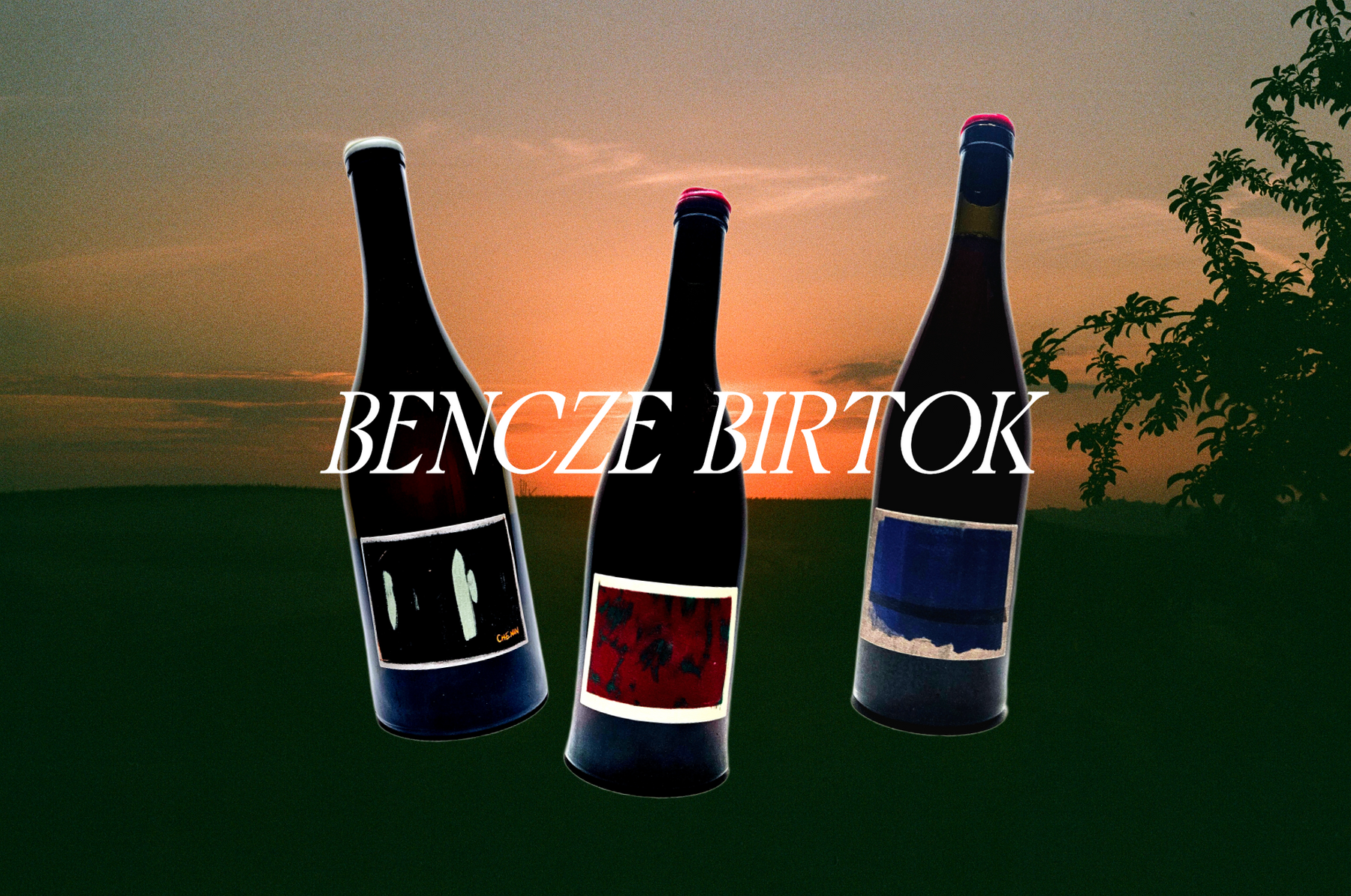 Rare Bencze Bottles
