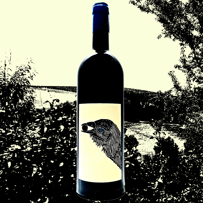 Brachetto - A Rare Treat from Piedmont