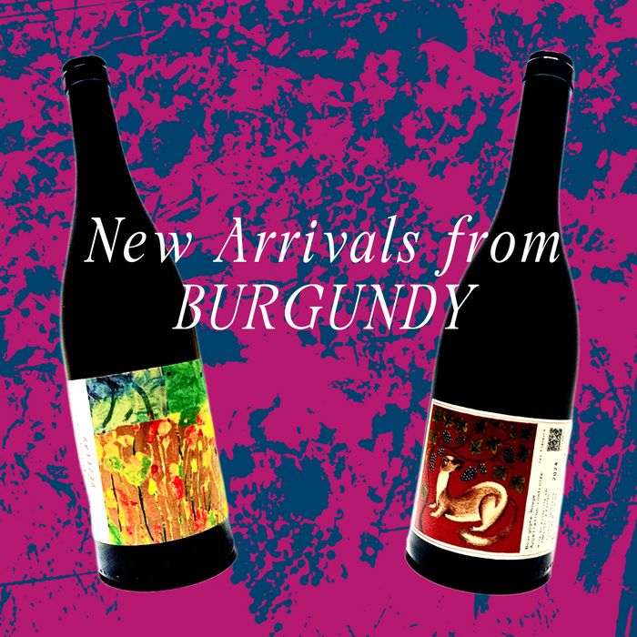 New Arrivals from Burgundy
