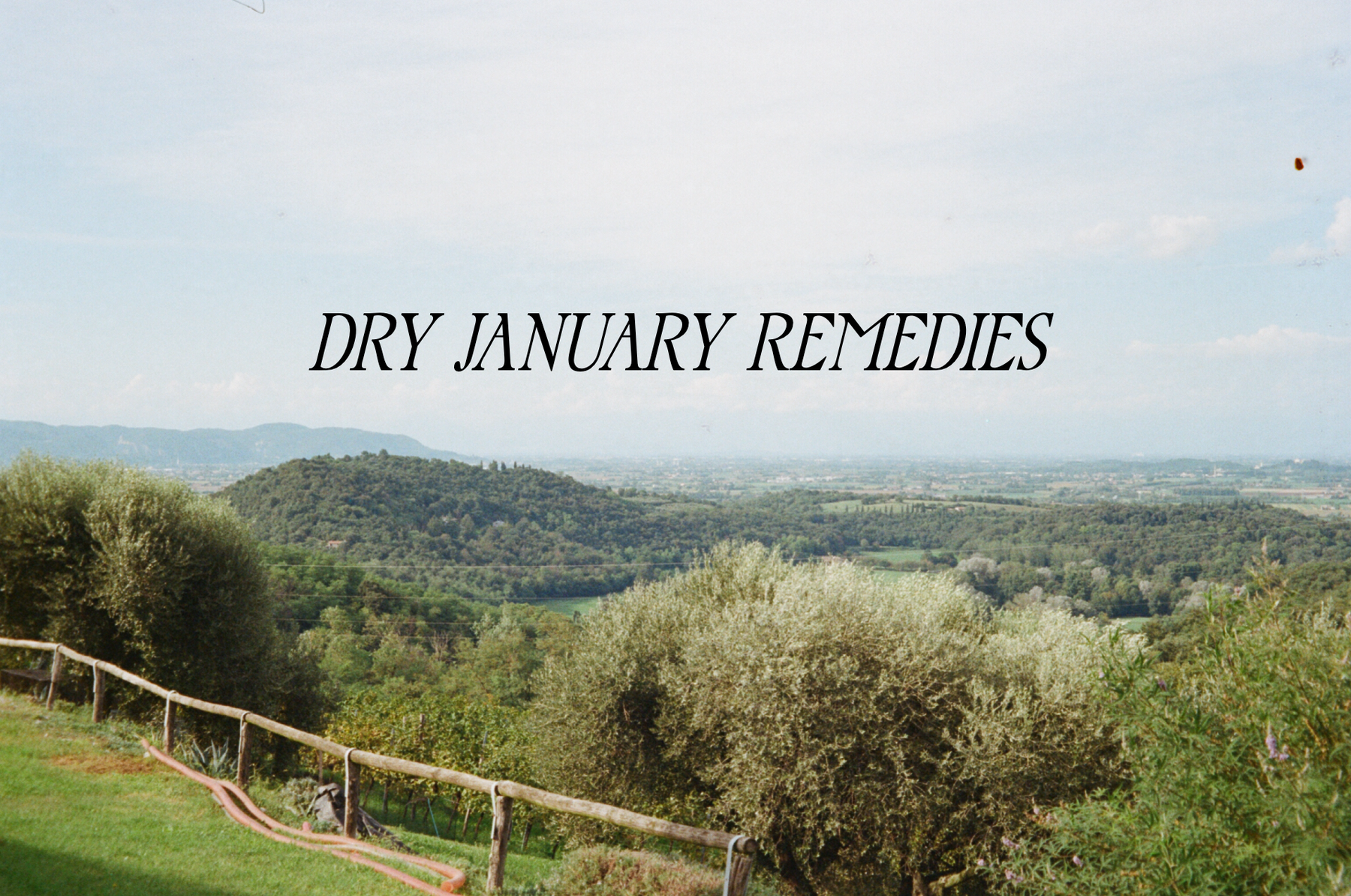 Dry January Remedies