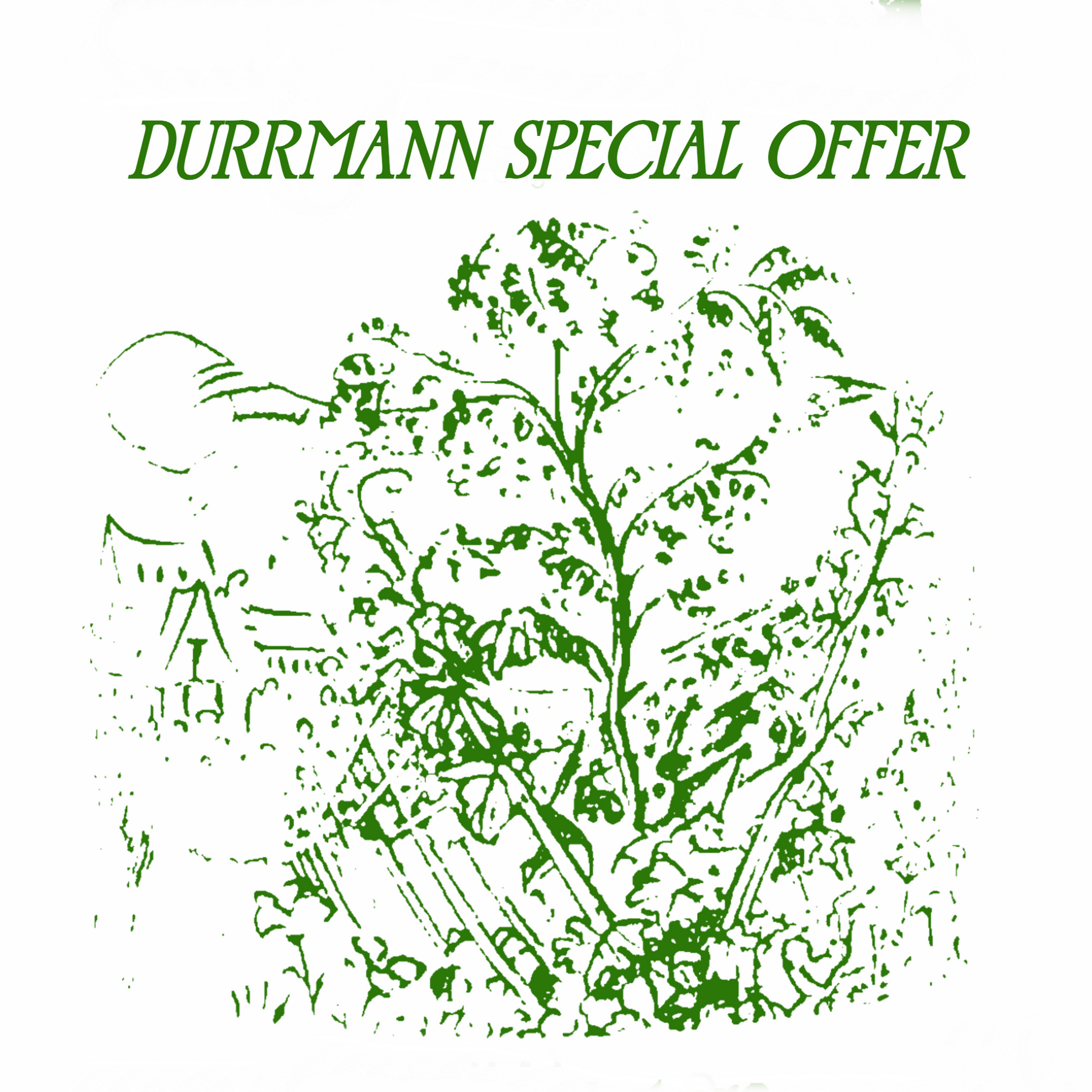 Durrmann Special Offer