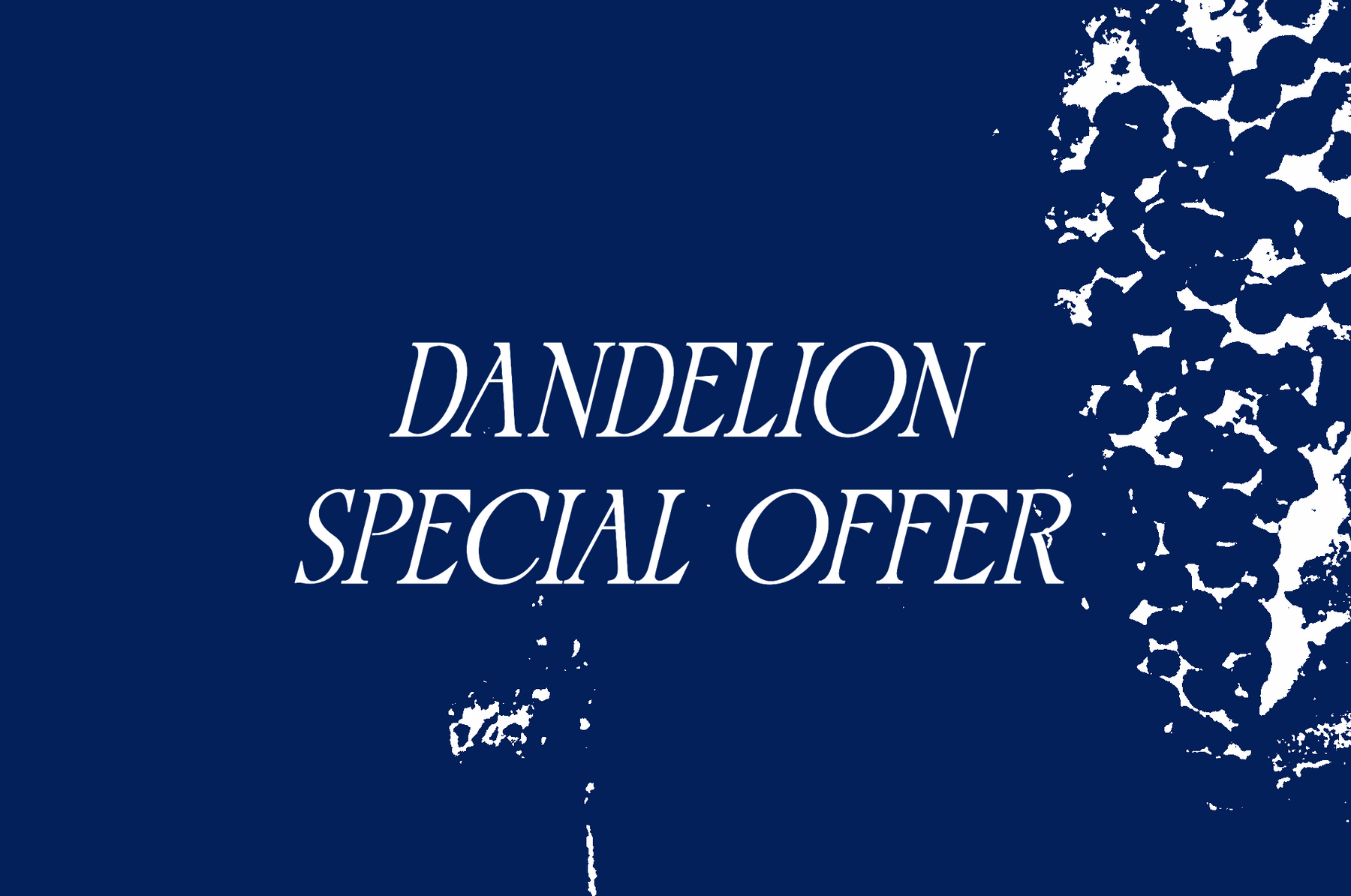 New Dandelion Arrivals + Special Offer
