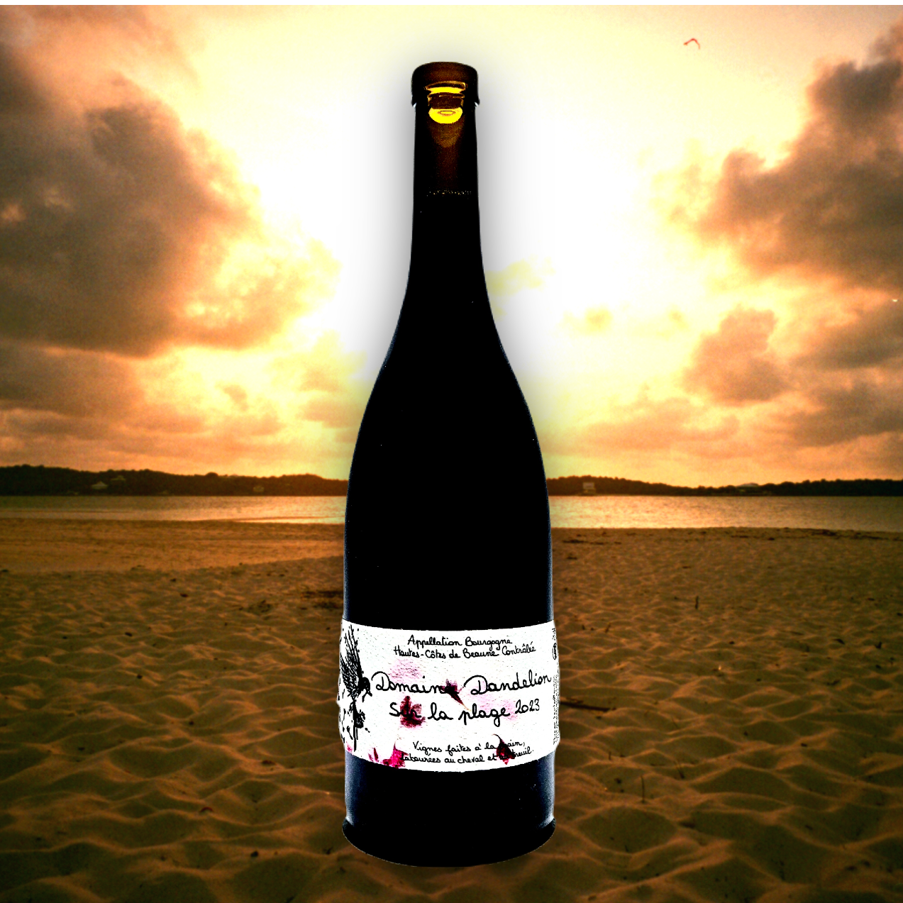 New Pinot Noir from Domaine Dandelion in Burgundy