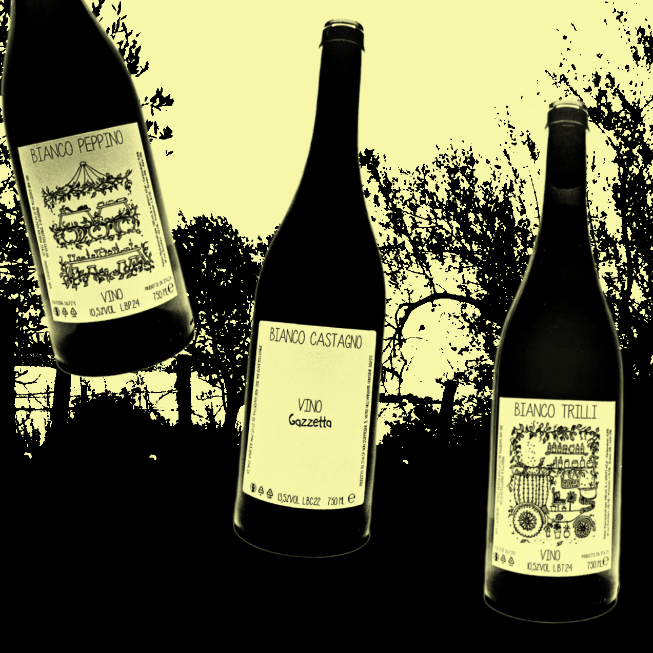 New Skin Contact Wines from Gazzetta