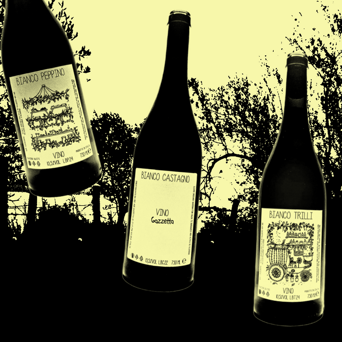 New Skin Contact Wines from Gazzetta