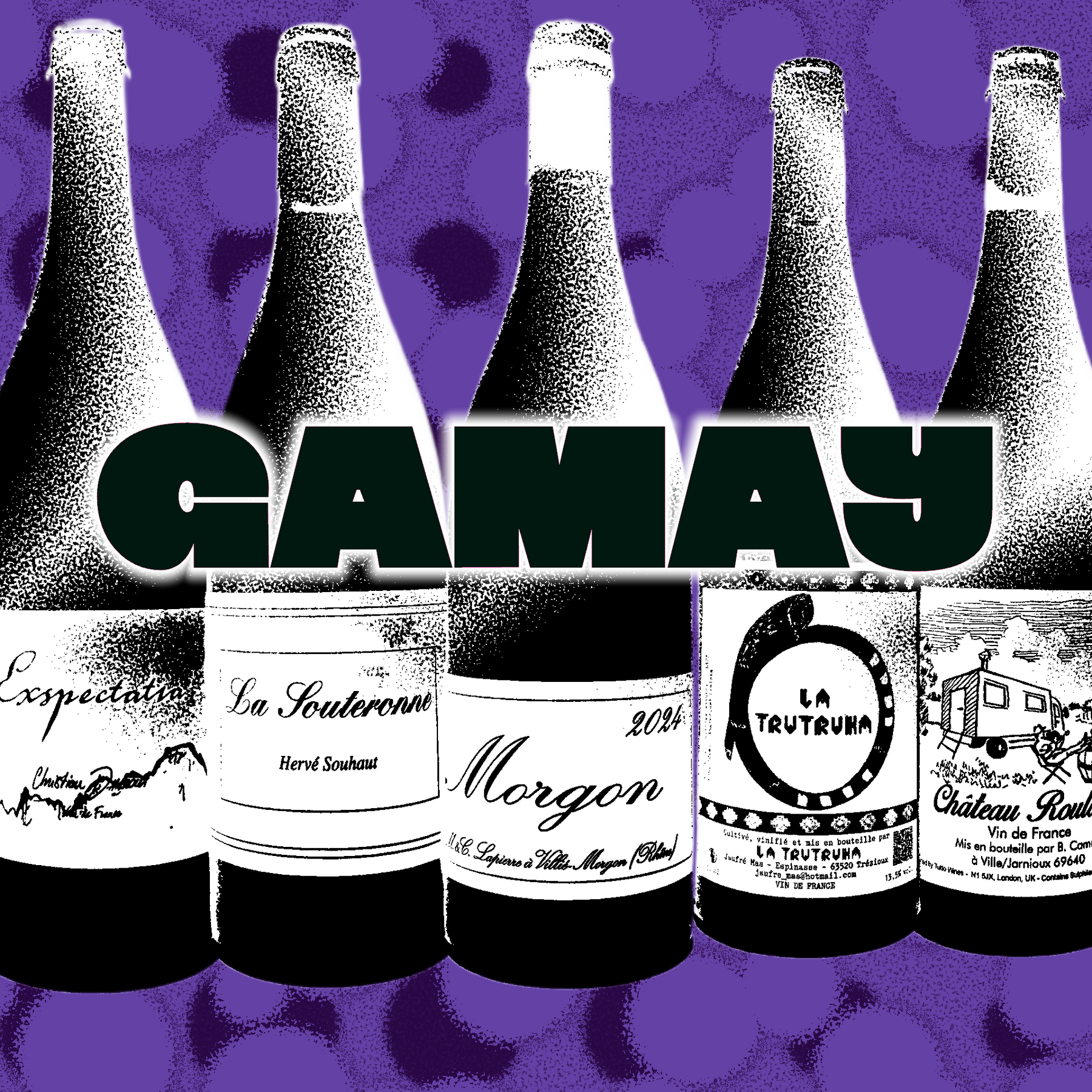 A Celebration of Gamay