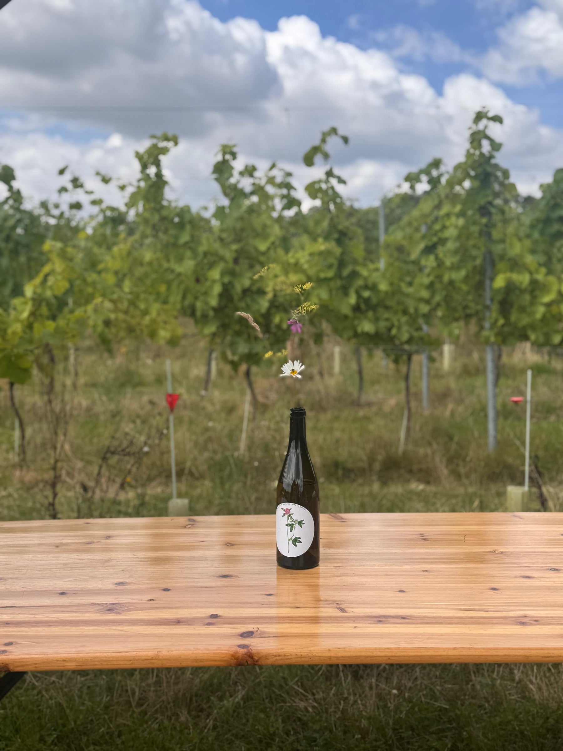 Ham Street - Biodynamics, Sustainability & Biodiversity