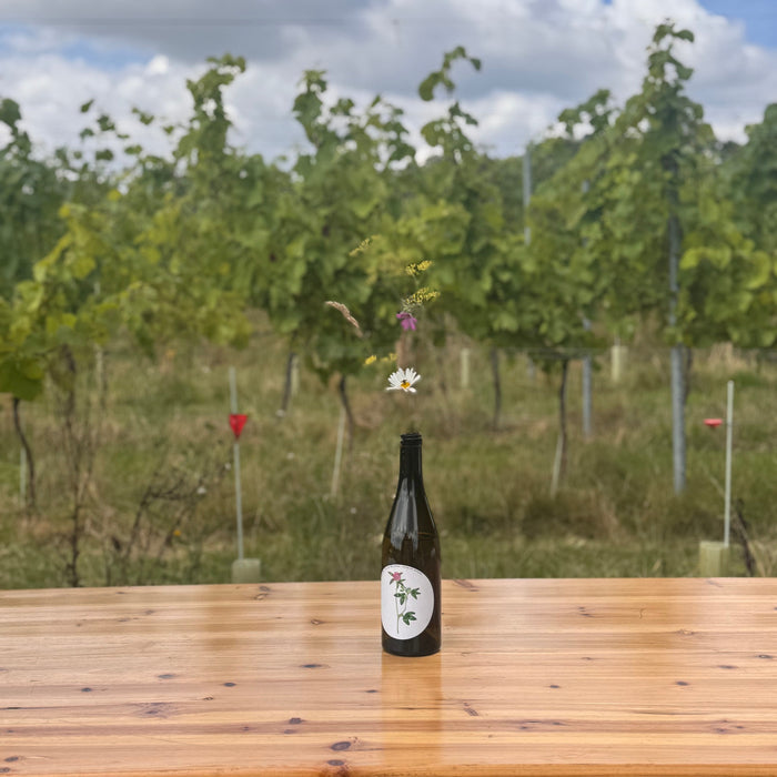 Ham Street - Biodynamics, Sustainability & Biodiversity