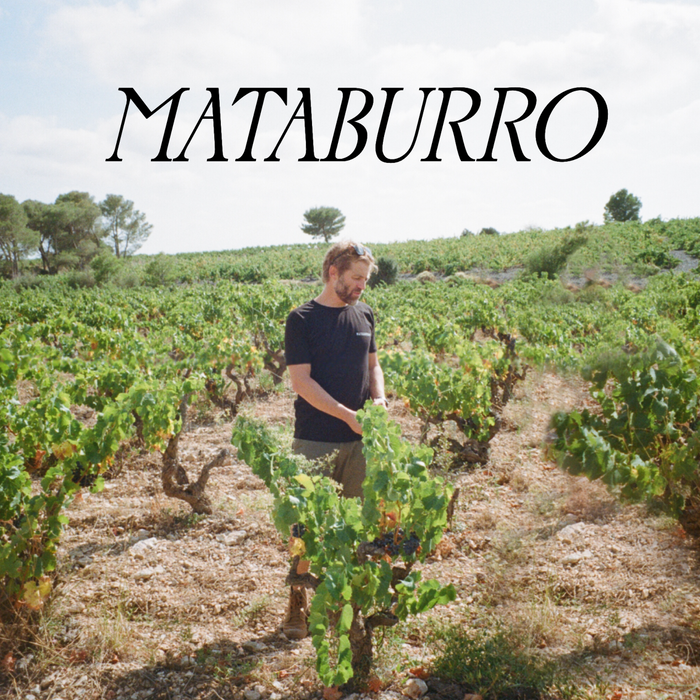 A Guide to the Wines of Mataburro