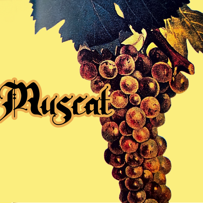5 Muscats to Drink Before the End of Summer