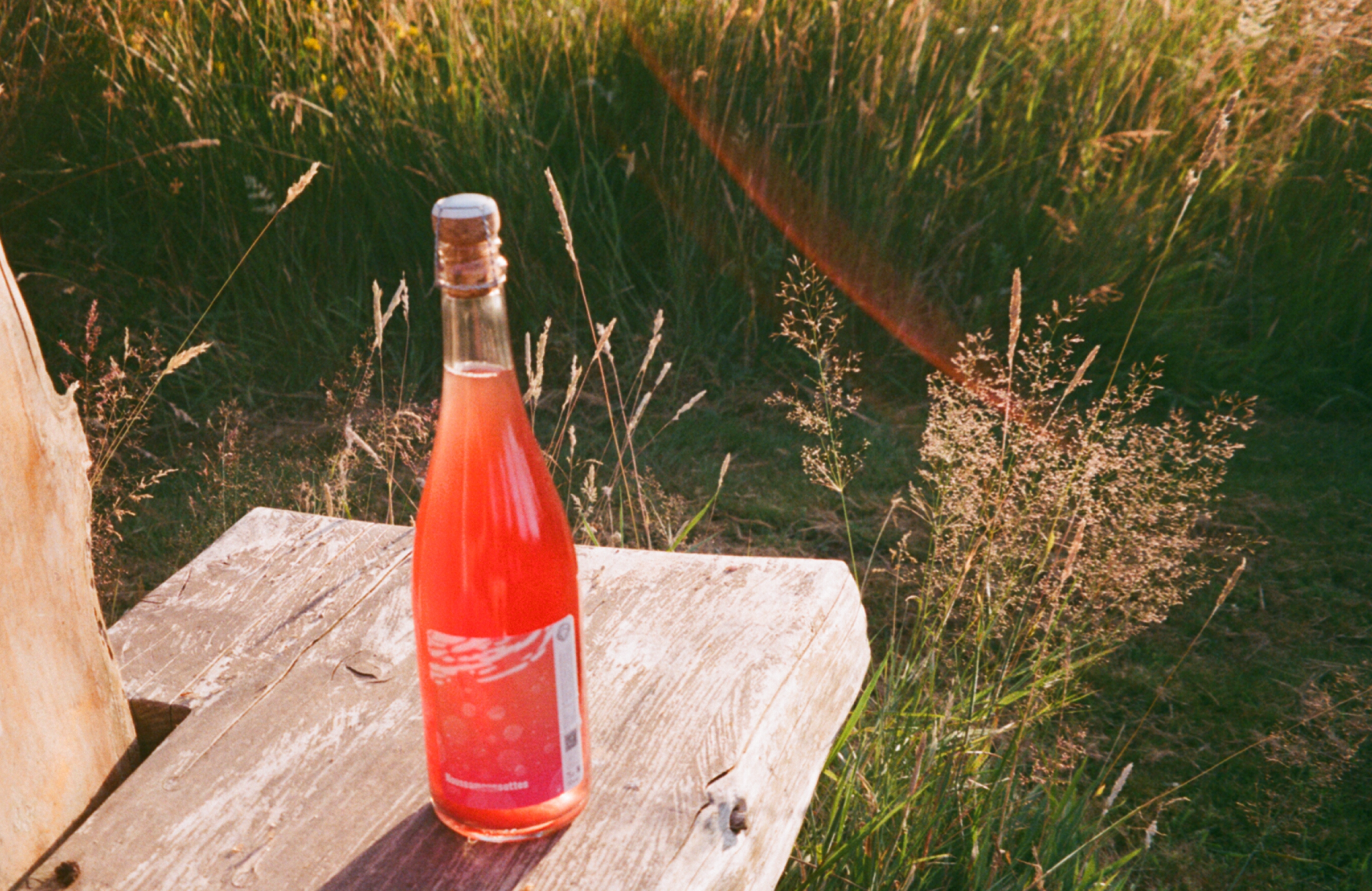 5 Natural Wine for Beginners