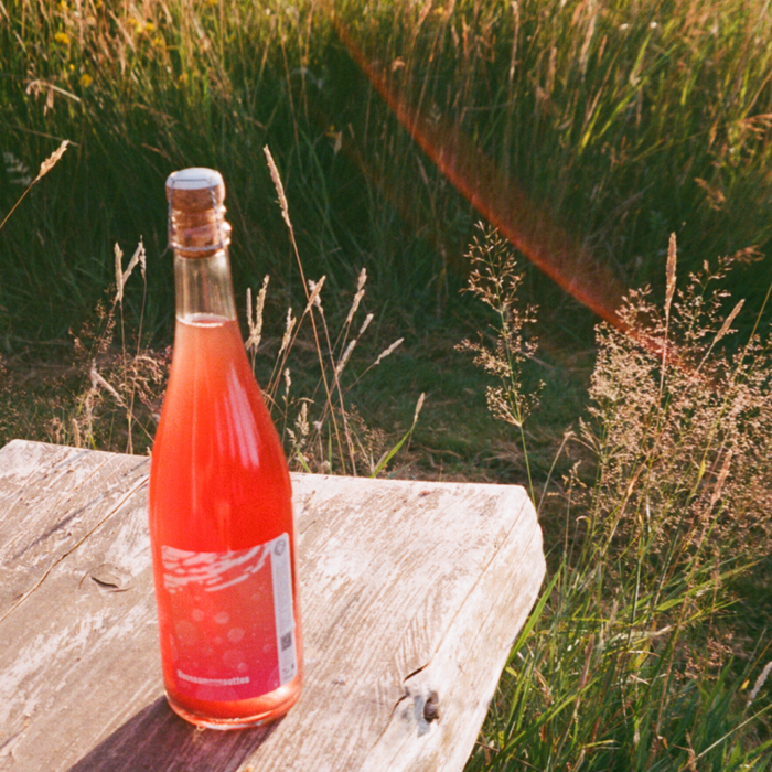 5 Natural Wine for Beginners