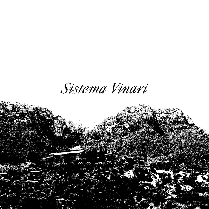 Rare Gems from Sistema Vinari