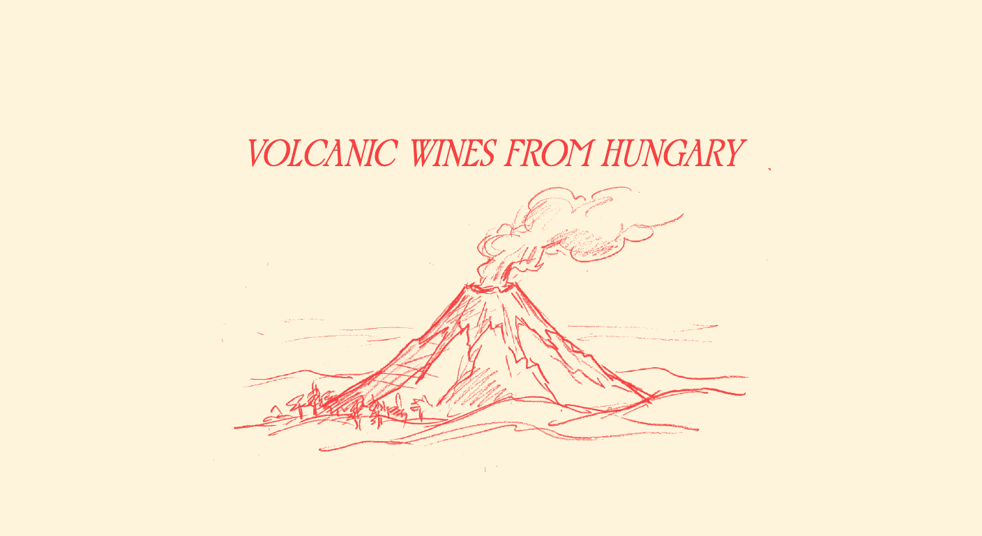 Volcanic Wines from Hungary