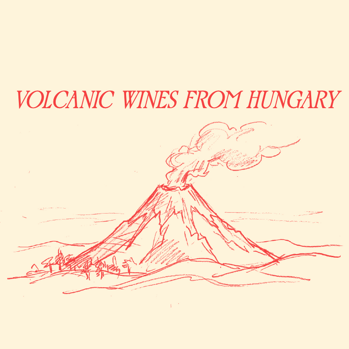 Volcanic Wines from Hungary