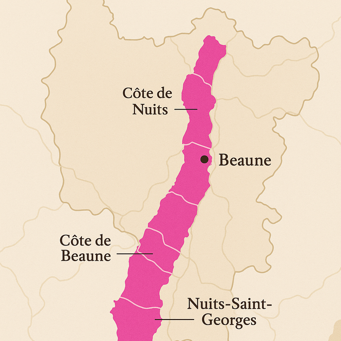 Burgundy ô Burgundy