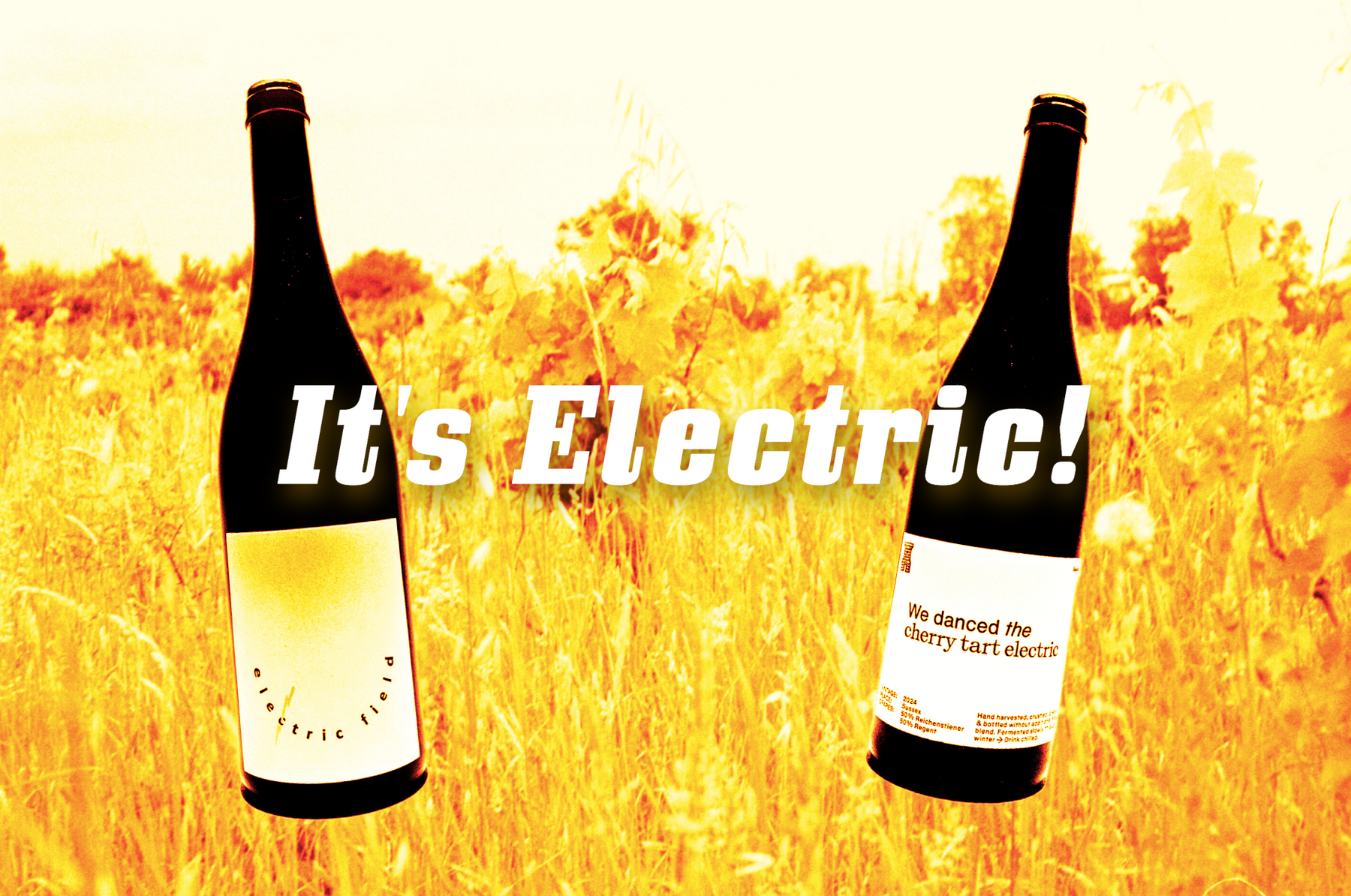 It's Electric! New arrivals from Sophie Evans and Leisure Wine