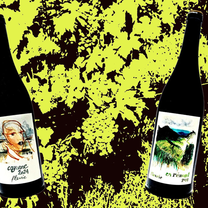 Brice Grizonnet's First Vintage
