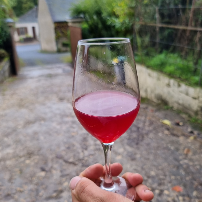 My Favourite Wines for £25 and Under