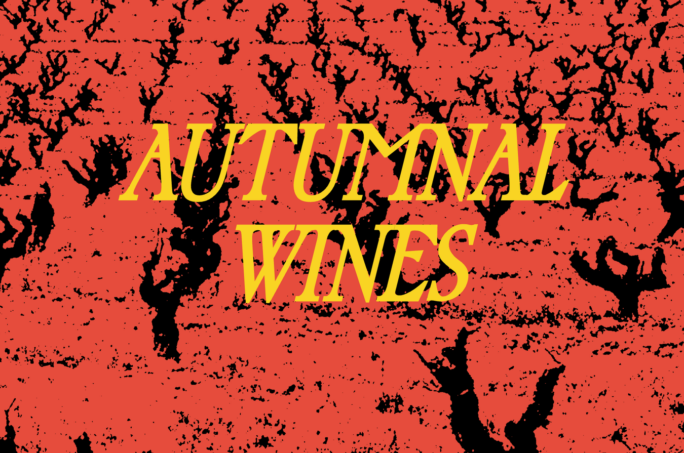 Wines for Autumn