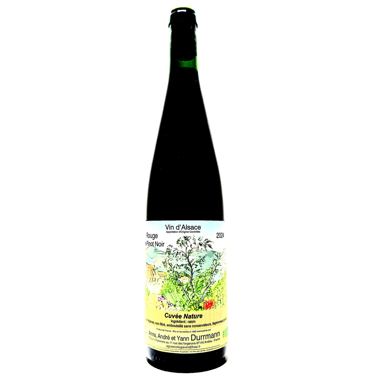 Rouge de Pinot Noir 2024 | Durmann | Organic Natural Wine