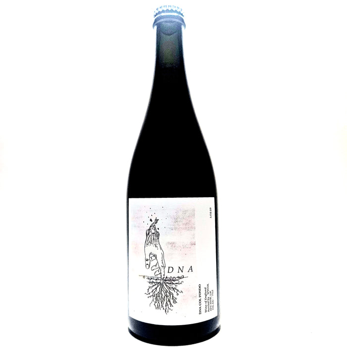 Owl's Wine x Off Beat DNA V1 2023 Huxelrebe / Reichensteiner English Organic Natural Sparkling Pet Nat Wine