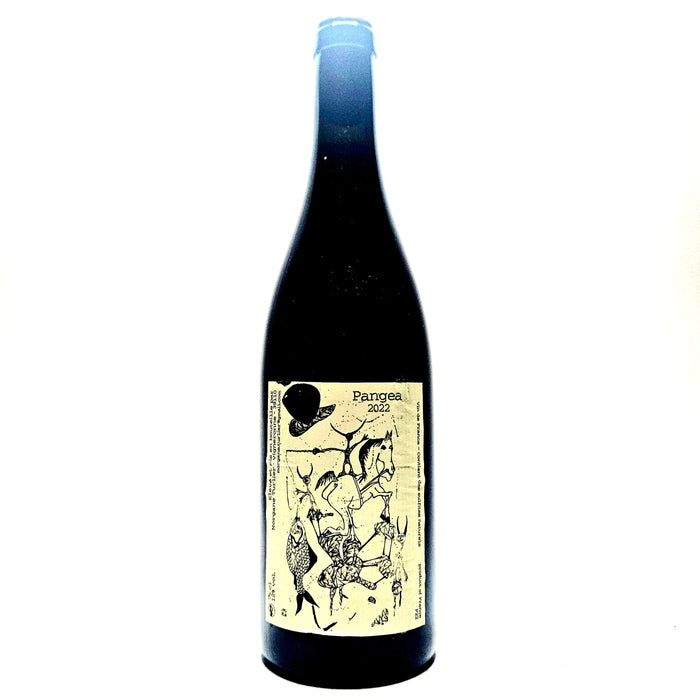 Morgane Turlier Pangea 2022 French Organic Natural Red Wine Jura France