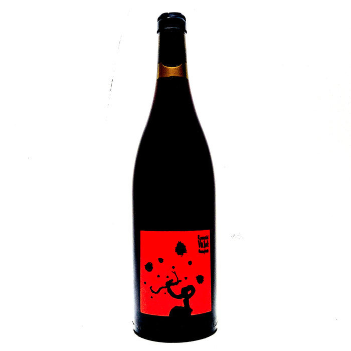 <p>Gamay / Chardonnay<br>Intrusion 2025<br>Valot</p>