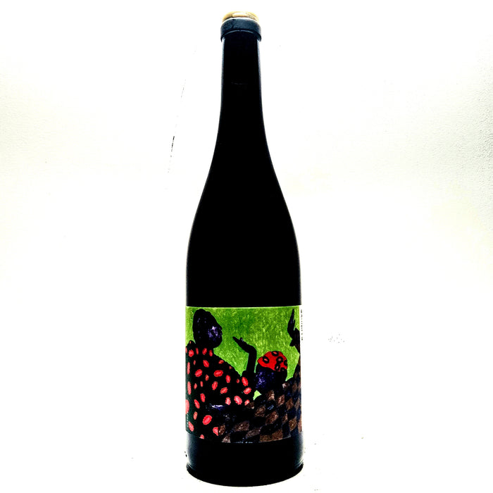 <p>Pineau d'Aunis<br>Kinhoye 2024<br>Les Errances</p>