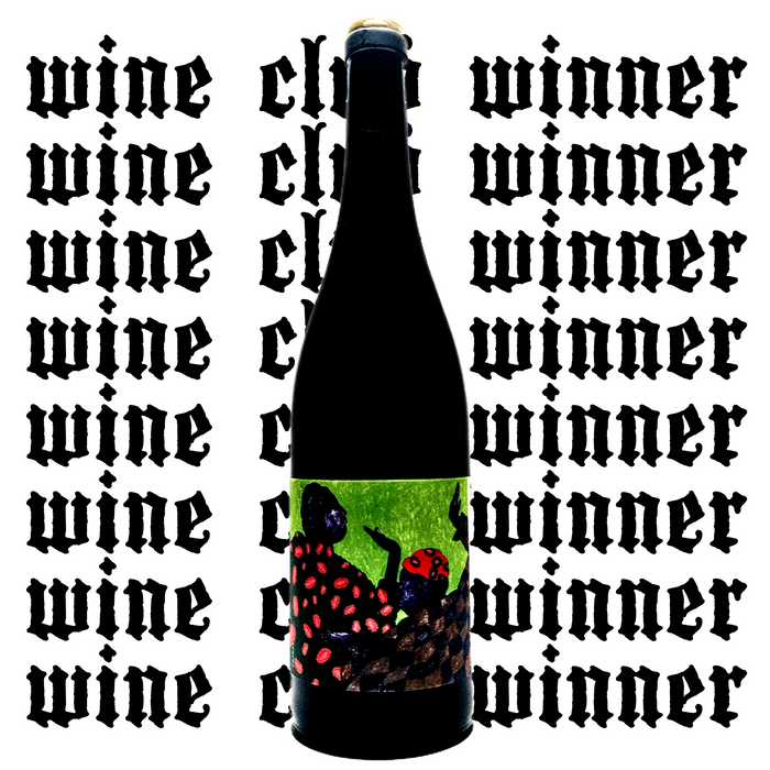 <p>Pineau d'Aunis<br>Kinhoye 2024<br>Les Errances</p>